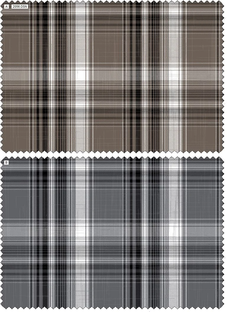 Design 2056