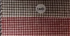 Design 100