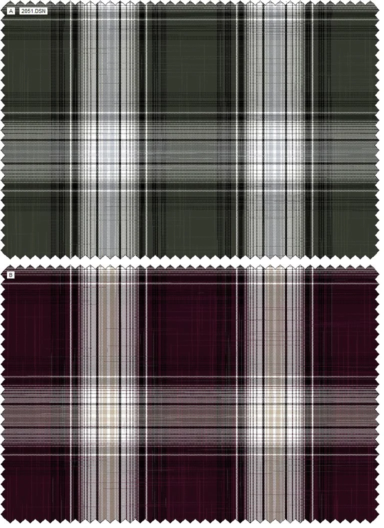 Design 2051