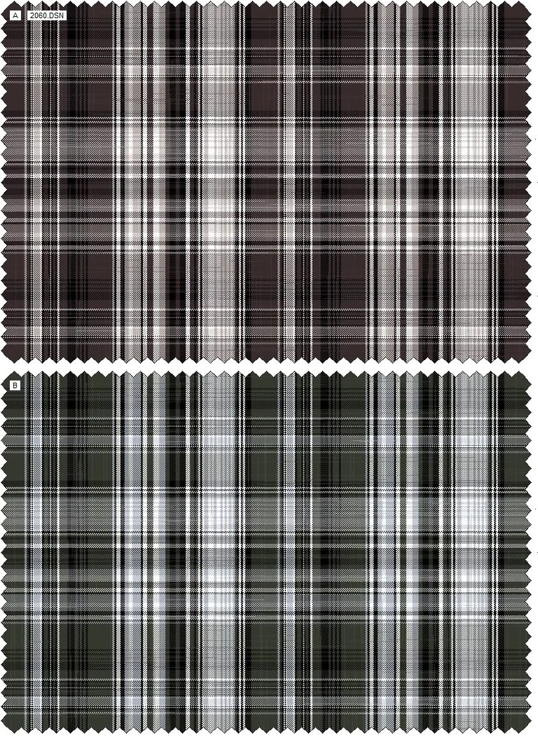 Design 2060